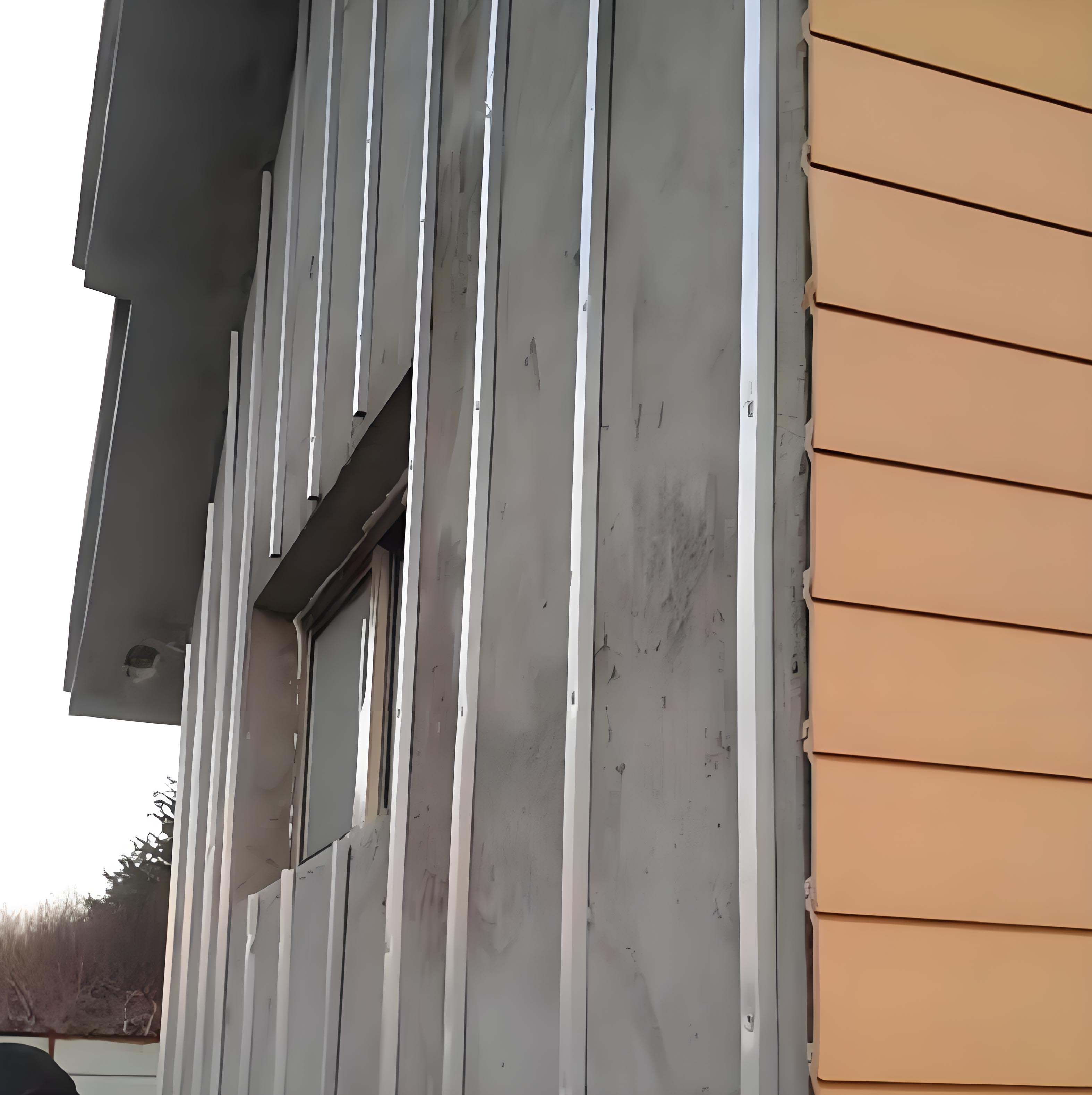 China wpc wall cladding