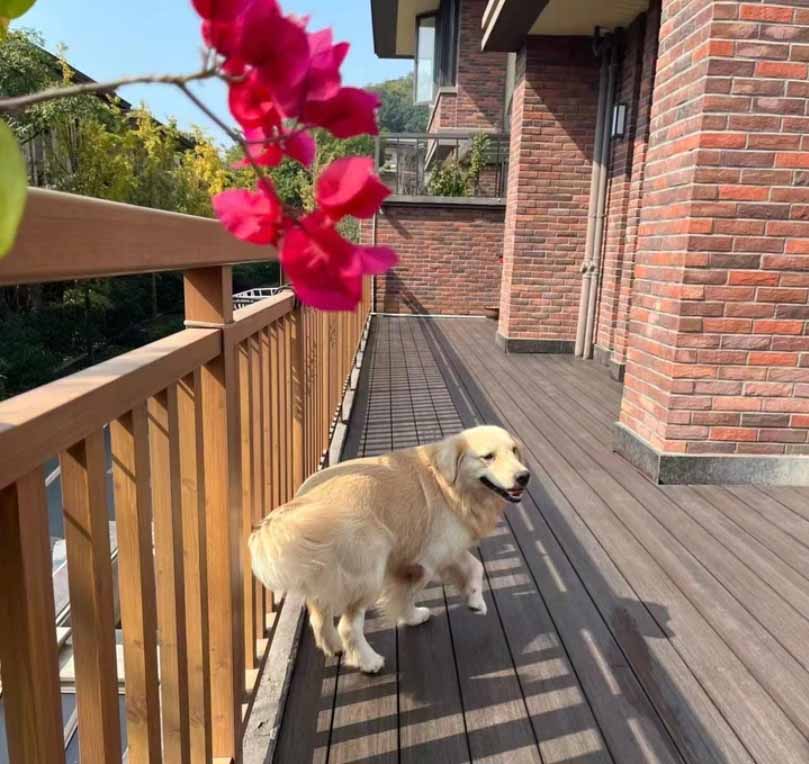 terrace wpc decking board china